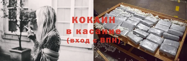гидра Богданович