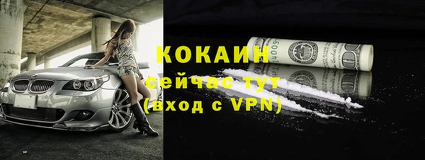 прущий лед Богородицк