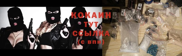 гидра Богданович