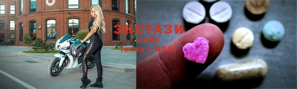 гидра Богданович