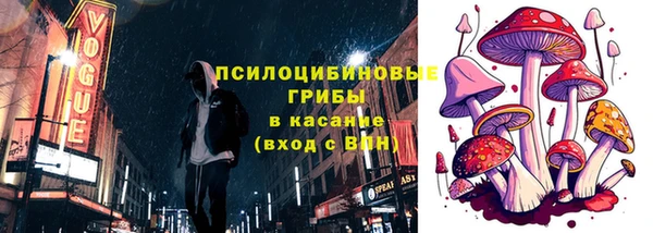 гидра Богданович