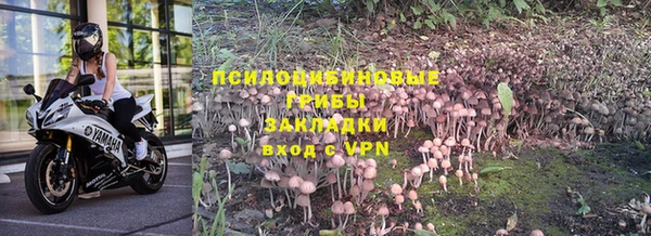 гидра Богданович