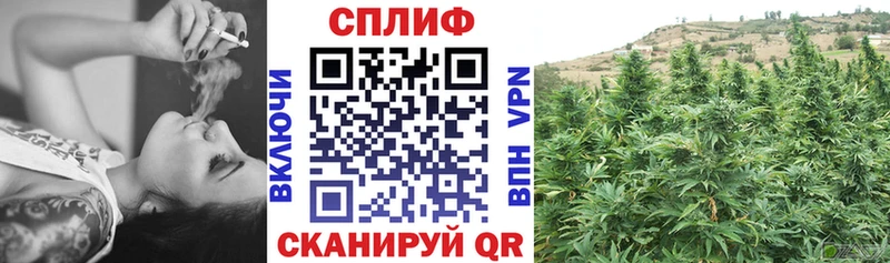 Канабис MAZAR Орлов